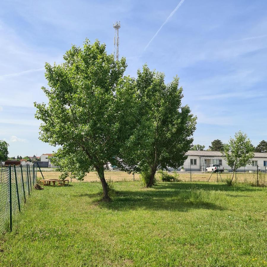 Villa Tiny House Neusiedl an der Zaya Exterior foto